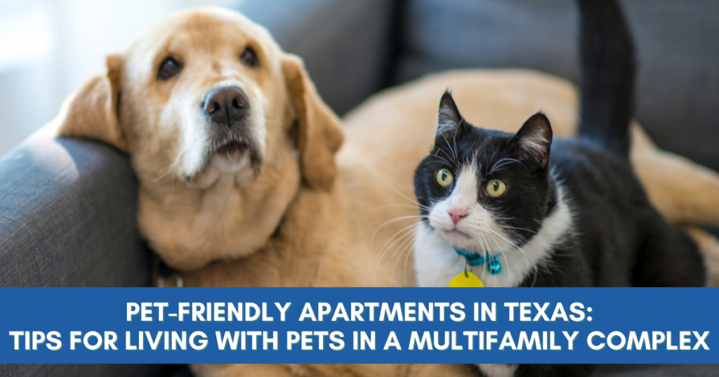 This photo shows a dog and a cat sititng on a couch with a blue rectangle bar with text: Pet-Friendly Apartments in Texas: Tips for Living with Pets in a Multifamily Complex