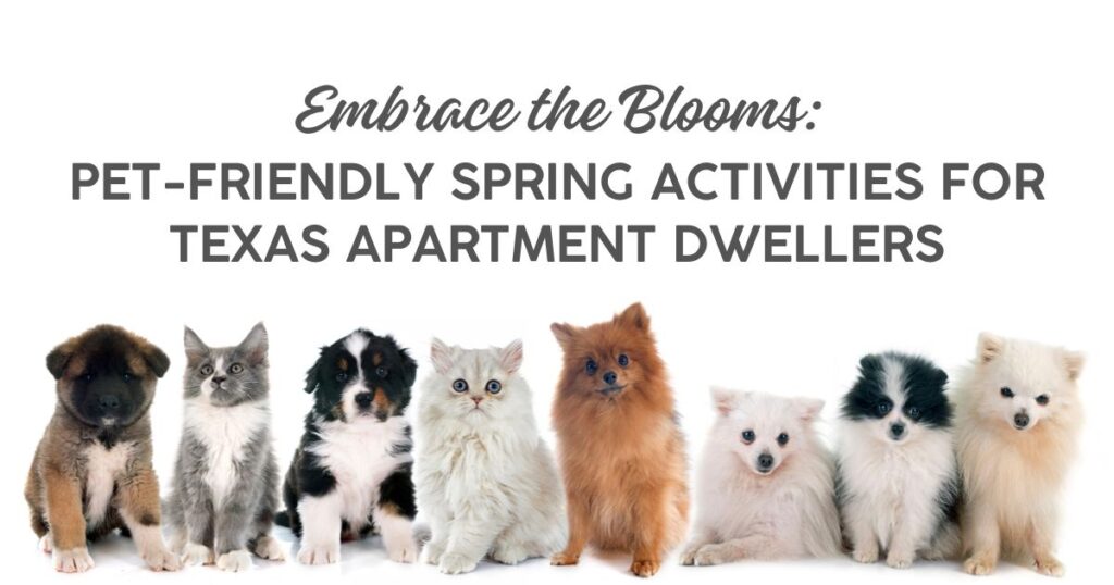 Pet-Friendly Spring Activities for Texas Apartment Dwellers