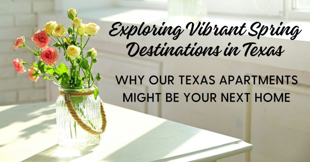 Why Our Texas Apartments Might Be Your Next Home