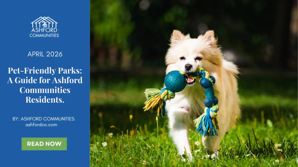 Pet-Friendly Parks: A Guide for Ashford Communities Residents